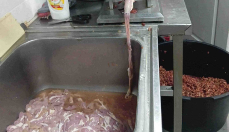 Vepřové vnitřnosti ležely ve dřezu.