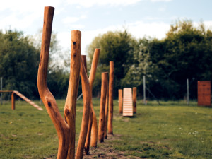 V Praze-Nedvězí vzniklo vůbec první Purina psí hřiště. Z pilotního projektu je nyní 20 hřišť po celém Česku