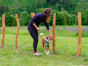 Otevření Purina psího hřiště v Sázavě ve Středočeském kraji