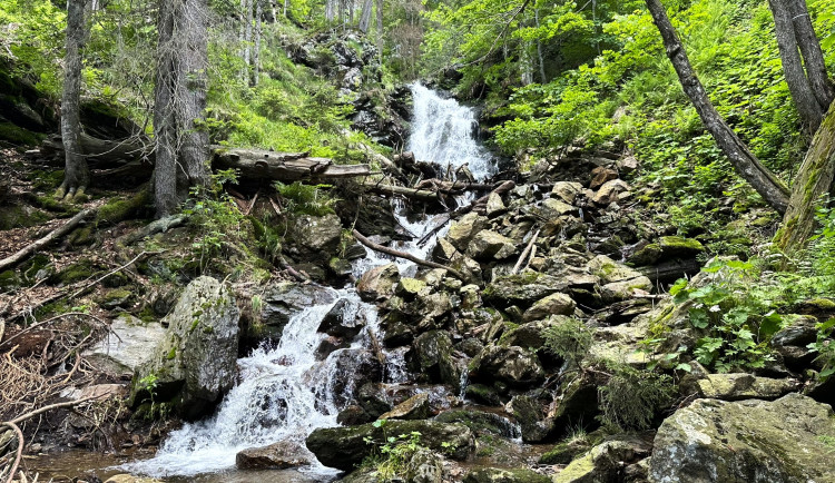 Vypravte se za divokými vodopády Šumavy a Bavorského lesa. Cestou potkáte i 1000 let starý strom