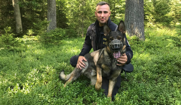 Zloděj na útěku z místa činu v panice odhazoval svůj lup. Šel po něm nekompromisní policejní pes