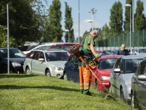 V Praze se při vysokých teplotách více zalévá. Sečení trávníků se naopak omezuje