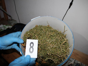 Gang vyráběl a prodával drogy, látky si dovážel ze Srbska