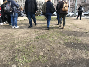 Praha nahradila zadupaný trávník u Tančícího domu novým za dvě stě tisíc. Vstupu brání ploty, turisté se tam ale vrátí