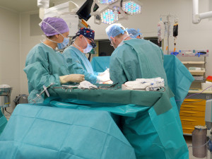 VIDEO: Lékaři v IKEM jako první na světě transplantovali pacientovi všechny břišní orgány a stěnu od různých dárců