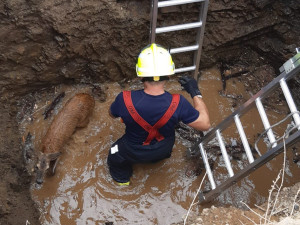 Pražští hasiči v sobotu zasahovali hned dvakrát ve Strašnicích. Stihli také zachránit srnku z výkopu
