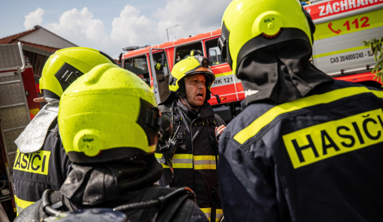 Některá vosí nebo sršní hnízda nechávají hasiče klidu, nemusí vyjet na každé zavolání