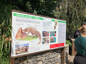 Malá luskounka dostala jméno Connie