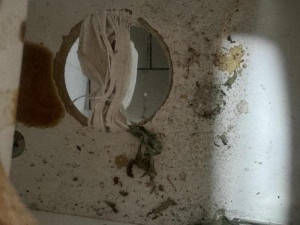 Plíseň, špína, myší bobky. Asijskou restauraci v Sapě inspektoři na místě zavřeli