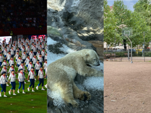 ČERVENEC 2024: Sokolové v Edenu, medvědi na ledu a basketbalové hřiště, na kterém se nedá hrát