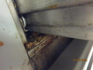 Pekárně v centru Prahy hygienici okamžitě zavřeli kuchyň. Při kontrole tam našli mravence, plíseň i odpadky