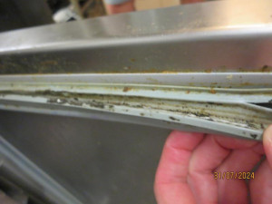 Pekárně v centru Prahy hygienici okamžitě zavřeli kuchyň. Při kontrole tam našli mravence, plíseň i odpadky