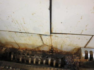 Pekárně v centru Prahy hygienici okamžitě zavřeli kuchyň. Při kontrole tam našli mravence, plíseň i odpadky