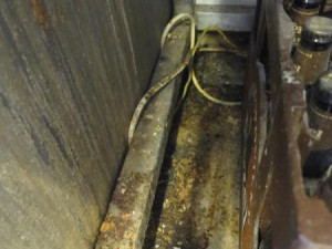 Pekárně v centru Prahy hygienici okamžitě zavřeli kuchyň. Při kontrole tam našli mravence, plíseň i odpadky