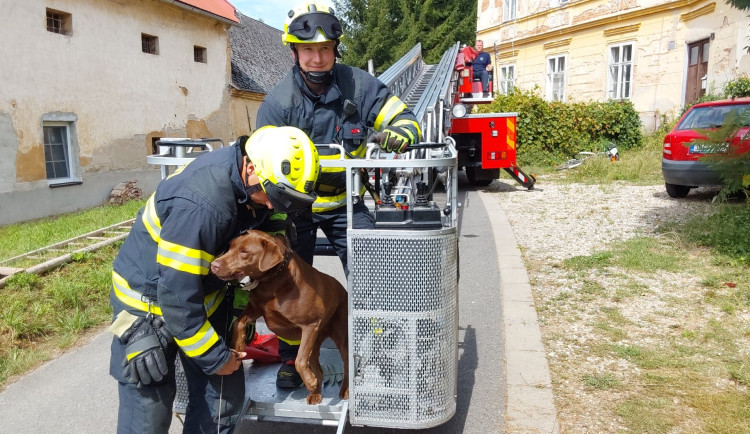 Operace labrador. Z římsy domu v Troubelicích hasiči sundávali psa, který zřejmě pronásledoval kočku