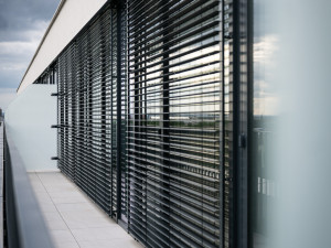 Triangl Park. Zelené bydlení v oblíbené plzeňské lokalitě