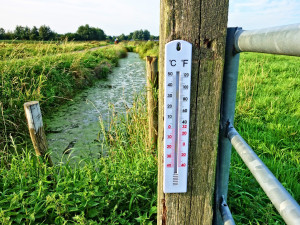 Česko podle meteorologů zřejmě zažívá nejteplejší den roku