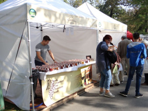 Vyzkoušejte tradiční chutě na zářijových akcích v Praze, jakými jsou dožínky nebo vinobraní