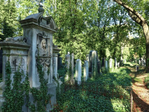 žižkovská kultůra