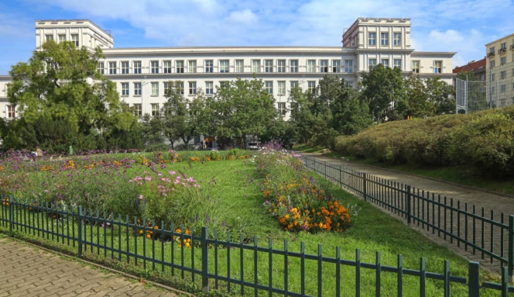 žižkovská kultůra