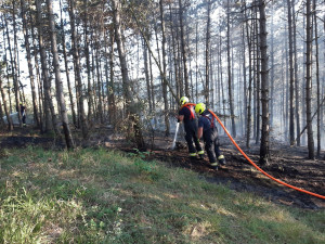 V pražském Radotíně hořelo zhruba devět hektarů lesa, hašení komplikovaly nedostupná ohniska požáru i sucho