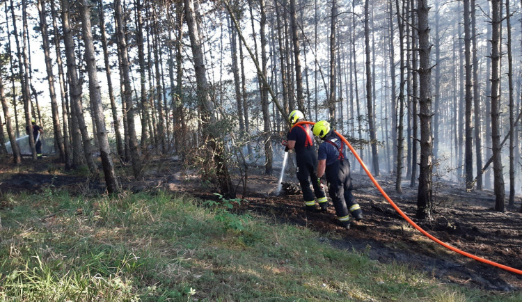 V pražském Radotíně hořelo zhruba devět hektarů lesa, hašení komplikovaly nedostupná ohniska požáru i sucho