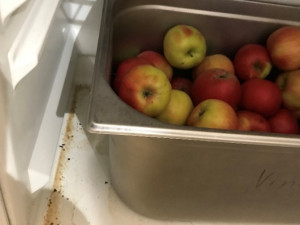 Špína v kuchyni, pavučiny ve skladu. Pražští hygienici v srpnu rozdali pokuty za skoro dvě stě tisíc