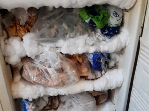 Špína v kuchyni, pavučiny ve skladu. Pražští hygienici v srpnu rozdali pokuty za skoro dvě stě tisíc