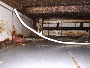 Špína v kuchyni, pavučiny ve skladu. Pražští hygienici v srpnu rozdali pokuty za skoro dvě stě tisíc