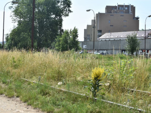 Z brownfieldu na břehu Vltavy místo pro odpočinek. Podívejte se, jak vypadala proměna Parku U Vody