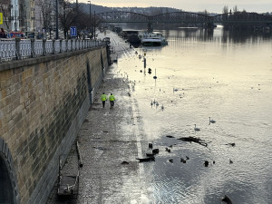 Praha se připravuje na možné povodně, městské lesy začaly upouštět vodu