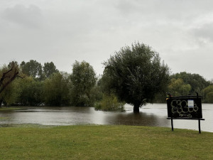 Zatopená louka v Komořanech