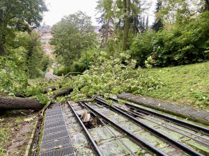 Na dráhu lanovky na Petřín spadl strom. Na vině je nejspíš podmáčená půda