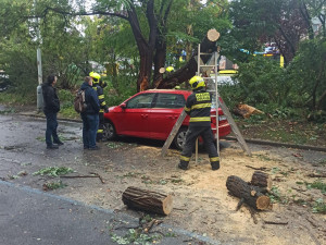 Praha 4 kontroluje kvůli dešti parky, voda poničila hřiště a stromy