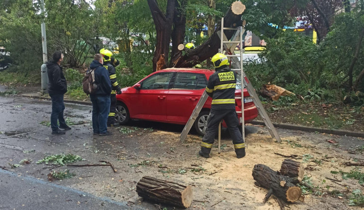 Praha 4 kontroluje kvůli dešti parky, voda poničila hřiště a stromy