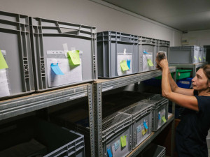 Velká voda ohrozila i ježky. Pražská záchranná stanice přijímá desítky prochladlých mláďat denně, potřebuje pro ně žrádlo a krabice