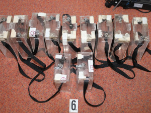 VIDEO: Osmnáctiletý mladík zorganizoval falešnou sbírku na Ukrajinu. Za peníze cestoval a nakupoval