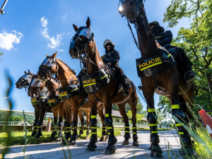 Zápas Slavie a Ajaxu se odehraje pod dohledem stovek policistů