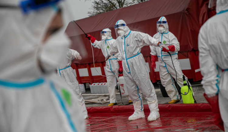 Další ohnisko ptačí chřipky potvrdila Státní veterinární správa na Plzeňsku. Chovatelce tam uhynuly desítky slepic