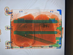 Cestující z Asie v kufru pašoval pět živých vzácných ryb za stovky tisíc. Přišli na něj ruzyňští celníci, případů odhalí desítky ročně