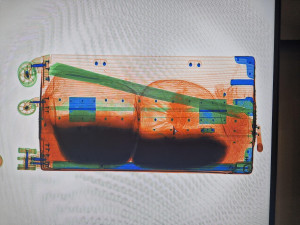 Cestující z Asie v kufru pašoval pět živých vzácných ryb za stovky tisíc. Přišli na něj ruzyňští celníci, případů odhalí desítky ročně