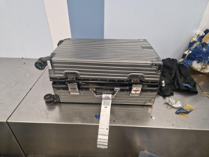 Cestující z Asie v kufru pašoval pět živých vzácných ryb za stovky tisíc. Přišli na něj ruzyňští celníci, případů odhalí desítky ročně