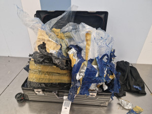 Cestující z Asie v kufru pašoval pět živých vzácných ryb za stovky tisíc. Přišli na něj ruzyňští celníci, případů odhalí desítky ročně