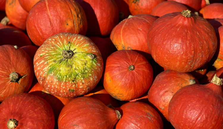 Užijte si dýňovou sezonu i doma. Připravte si jednoduchý dezert nebo aromatický Pumpkin Chai