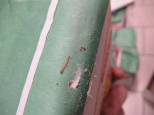 Regály s moukou v pražském Kauflandu zamořili červi. Inspektoři část obchodu hned zavřeli