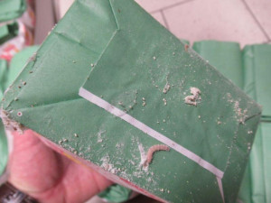 Regály s moukou v pražském Kauflandu zamořili červi. Inspektoři část obchodu hned zavřeli