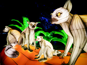 FOTOGALERIE: Gorily, nosorožci i sloni na dotek. Pražská zoo zve na lampionová zářící zvířata