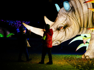 FOTOGALERIE: Gorily, nosorožci i sloni na dotek. Pražská zoo zve na lampionová zářící zvířata