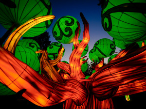 FOTOGALERIE: Gorily, nosorožci i sloni na dotek. Pražská zoo zve na lampionová zářící zvířata