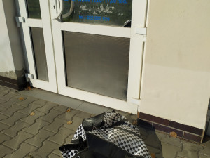 Přede dveřmi útulku odložili v tašce patnáct morčat. Po karanténě budou k adopci